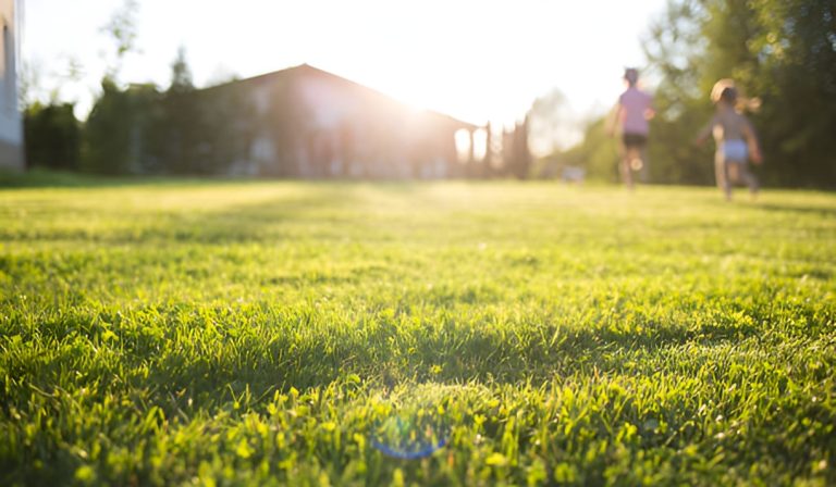 impact of housing plots at amtala city on health and wellness