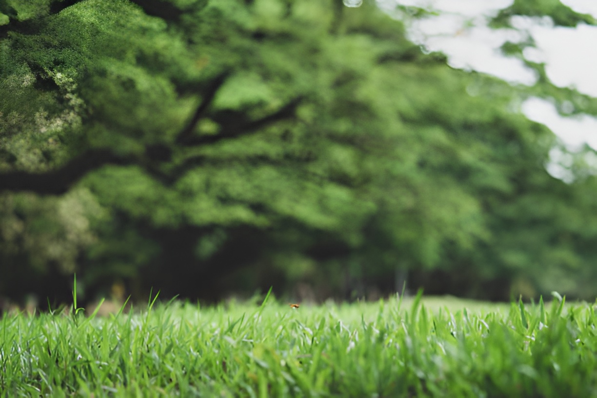 impact of housing plots at amtala city on health and wellness