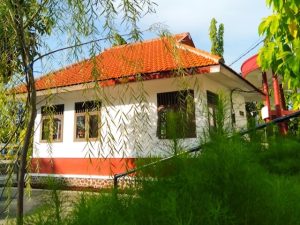 ways to add green spaces to your home at amtala city