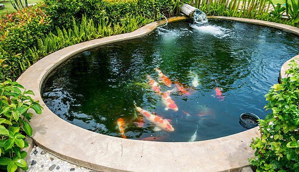 ways to add green spaces to your home at amtala city