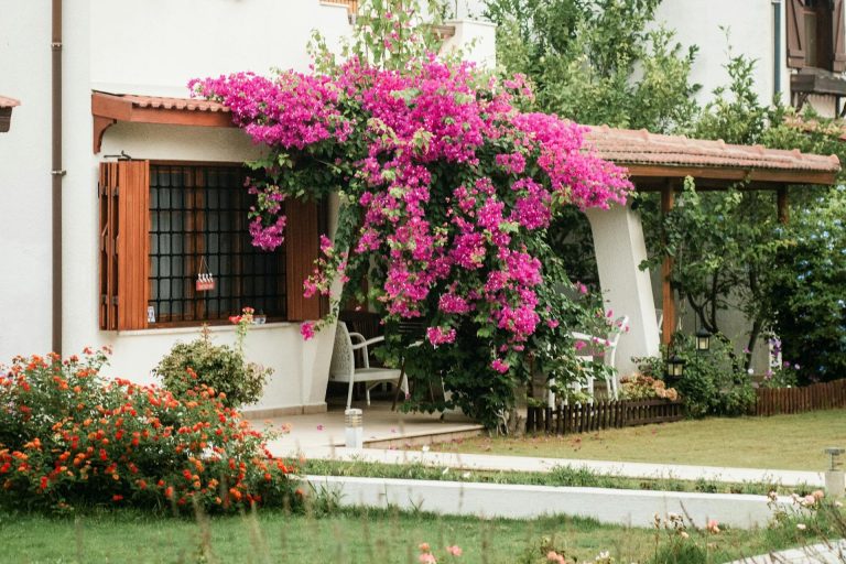 ways to add green spaces to your home at amtala city