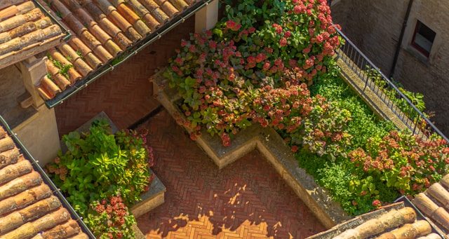 benefits of green spaces in your dream home at amtala city