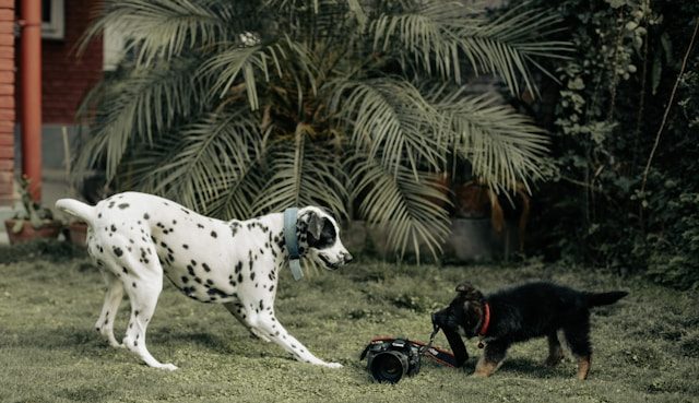 how to monetise your holiday home at manafuli ganga villas