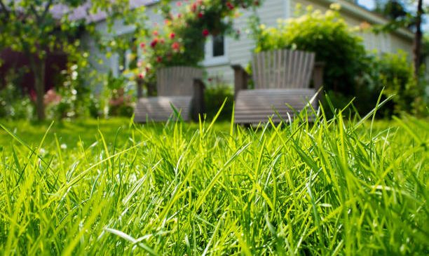 tips to not hurry in investing in residential plots and decide mindfully