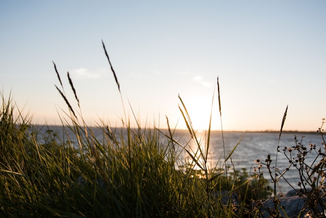 build your dream holiday escape by the ganges