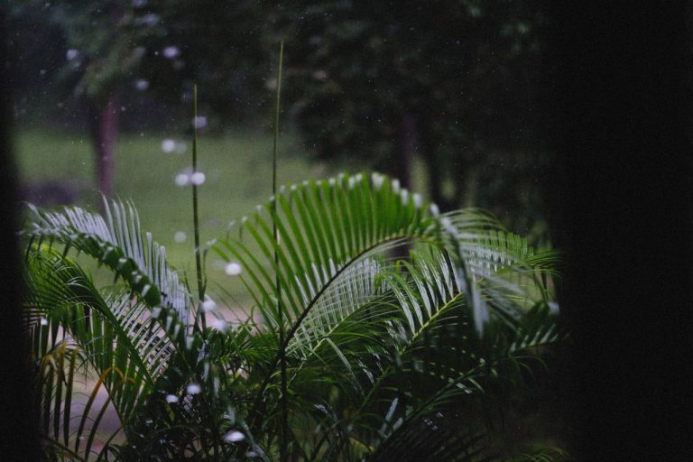build holiday home for monsoon escape at manafuli ganga villas